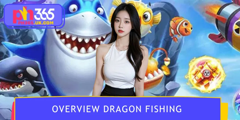 Overview about Dragon Fishing